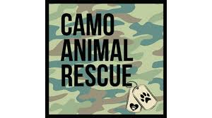 Check out CAMO Animal Rescue